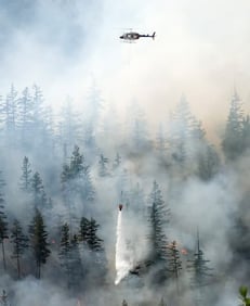 Helicopter dousing a forest fire with water, amidst thick smoke.