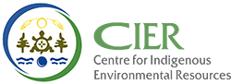 Cier LOGO Cier LOGO