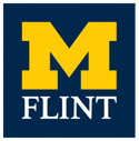 M flint logo M flint logo