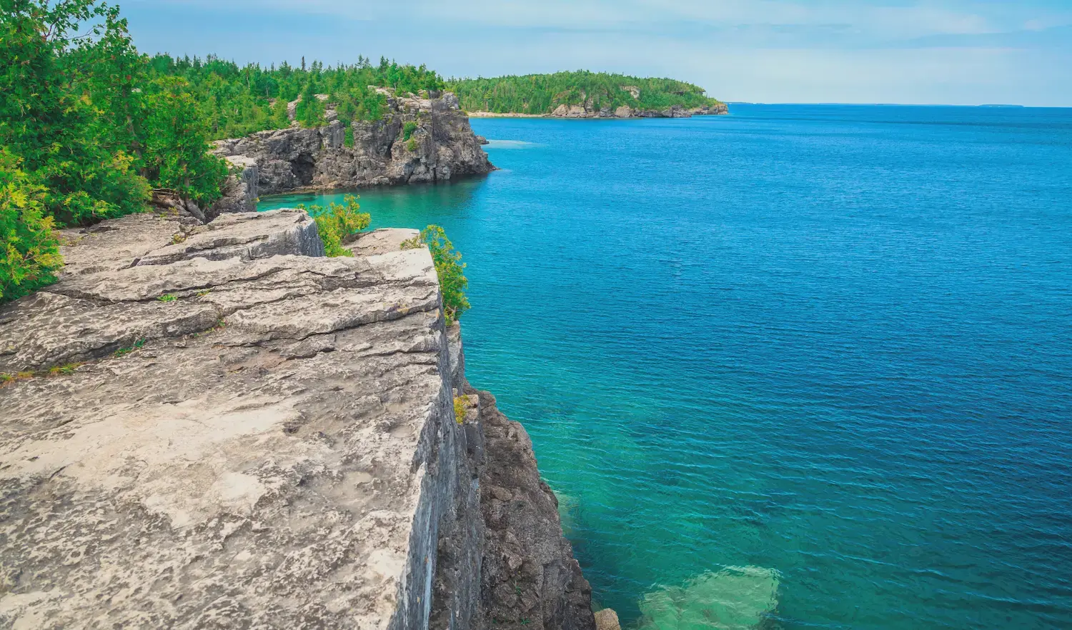 Vibrant landscape showcasing the dramatic cliffs along Lake Huron, highlighted by lush greenery and the deep blue waters under a clear sky.