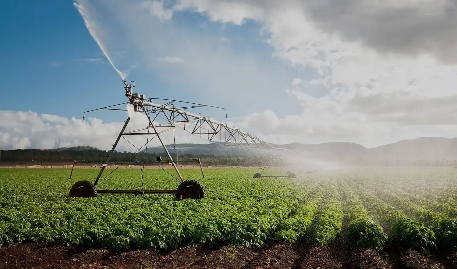 Irrigation system watering crops in sunny field.