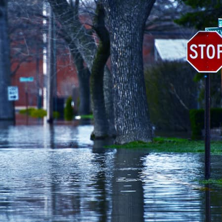 A flooded city street with deep water submerging sidewalks and trees, next to a stop sign, illustrating the impact of severe weather and climate change on urban areas. A flooded city street with deep water submerging sidewalks and trees, next to a stop sign, illustrating the impact of severe weather and climate change on urban areas.