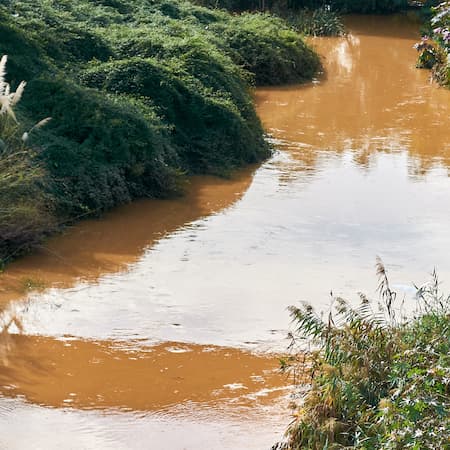 A river with muddy, brown water surrounded by green vegetation, illustrating water pollution and the impact of untreated wastewater on natural ecosystems.