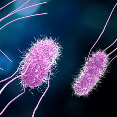 A 3D illustration of Salmonella bacteria in a microscopic view, highlighting the risks of waterborne diseases and contamination. A 3D illustration of Salmonella bacteria in a microscopic view, highlighting the risks of waterborne diseases and contamination.