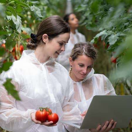 Two women in protective suits analyzing data on a laptop in a greenhouse, while one holds freshly harvested tomatoes, representing modern agricultural technology and sustainability. Two women in protective suits analyzing data on a laptop in a greenhouse, while one holds freshly harvested tomatoes, representing modern agricultural technology and sustainability.