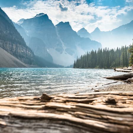 A crystal-clear mountain lake surrounded by evergreen forests and towering peaks, with driftwood in the foreground, capturing the beauty of untouched nature. A crystal-clear mountain lake surrounded by evergreen forests and towering peaks, with driftwood in the foreground, capturing the beauty of untouched nature.